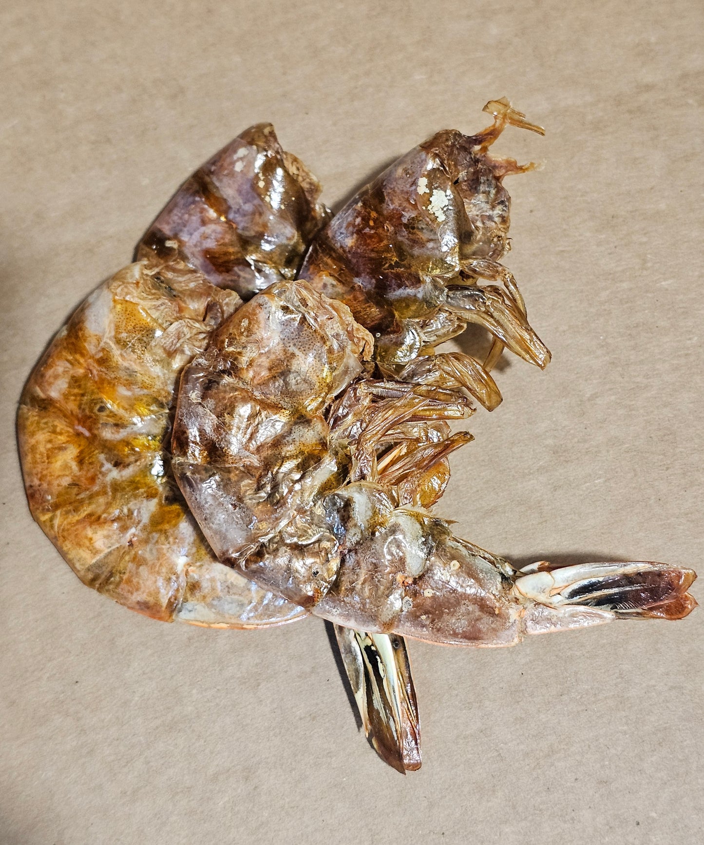 Dehydrated Shrimp