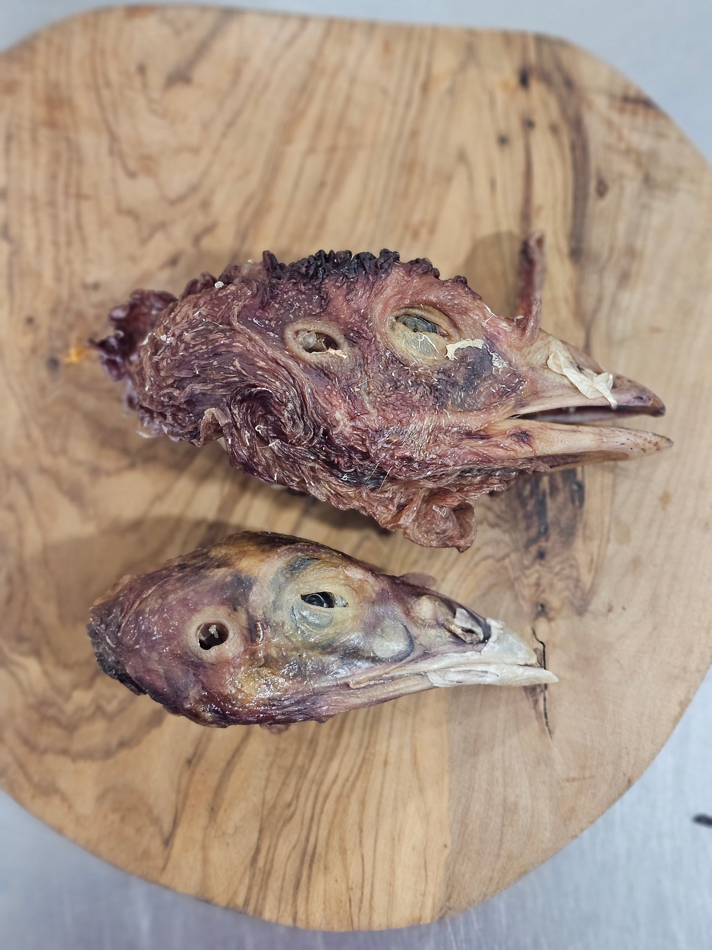 Dehydrated Turkey Heads