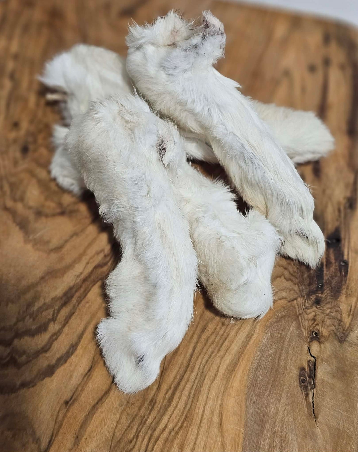 Dehydrated Rabbit Feet (Rear)