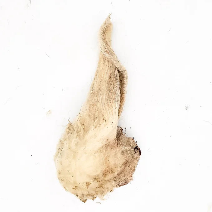 Dehydrated Furry Lamb Ears
