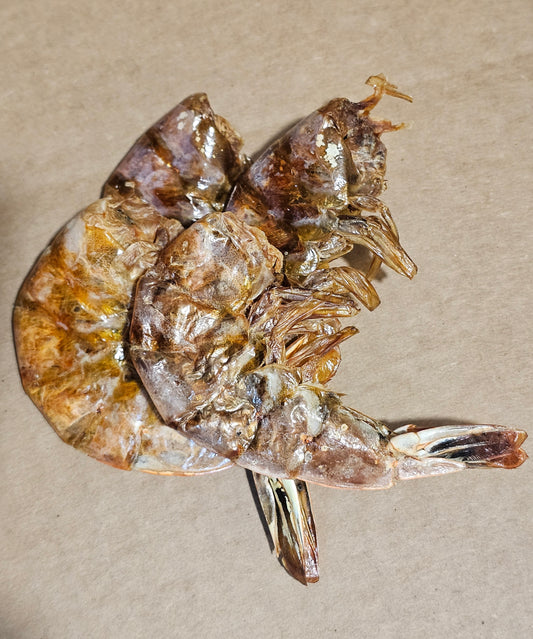 Dehydrated Shrimp