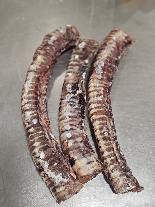 Dehydrated Beef Trachea 10" (ea)