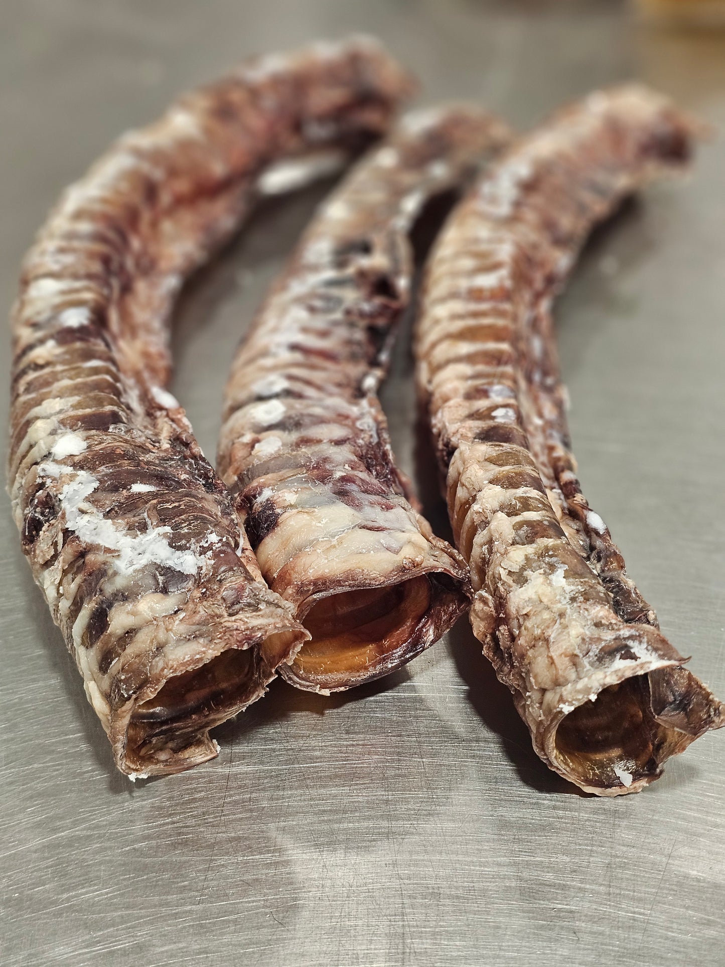Dehydrated Beef Trachea 10" (ea)