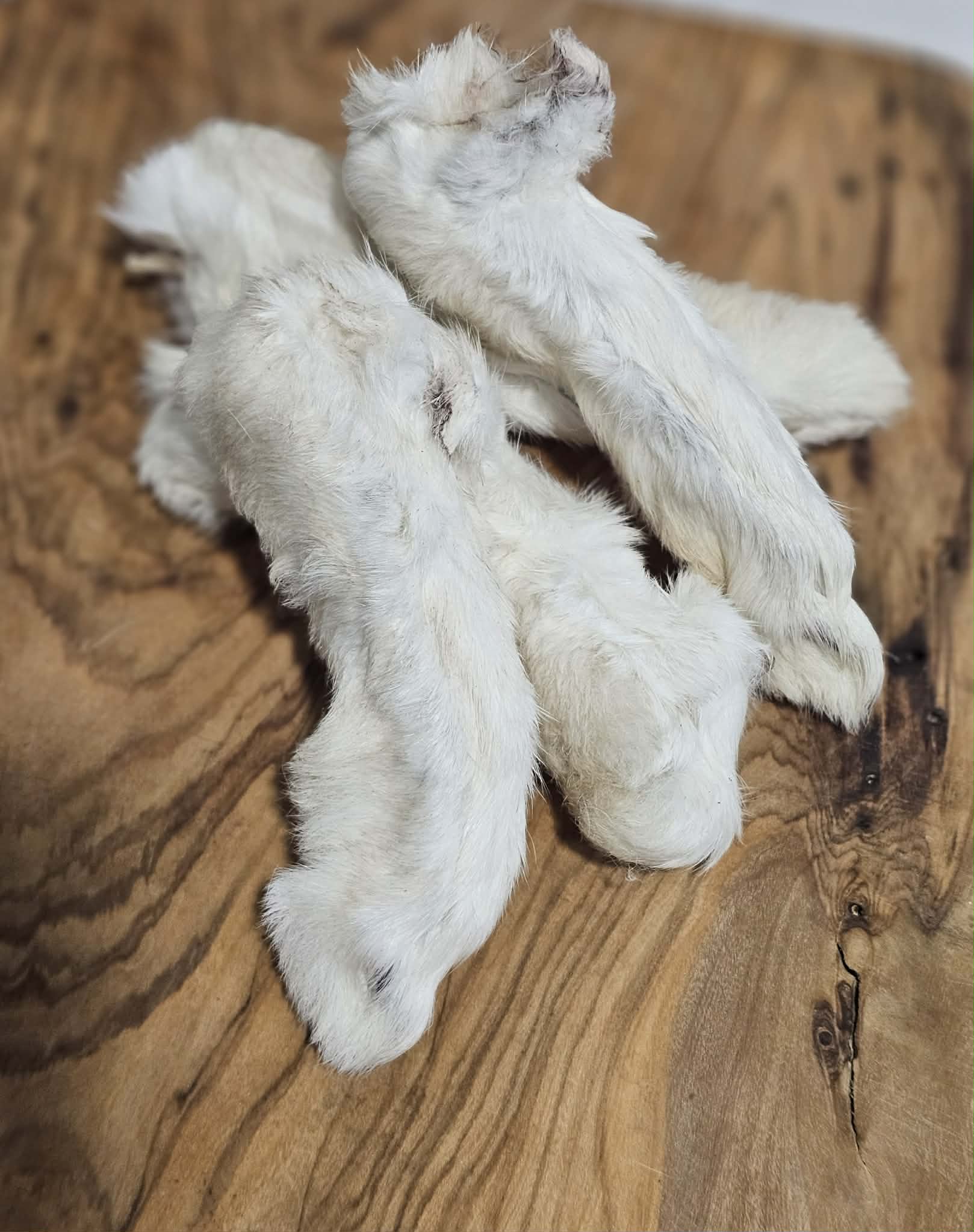 Dehydrated Rabbit Feet - The Proper K9 – ProperK9