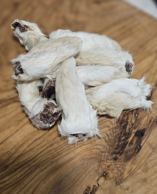 Dehydrated Rabbit Feet (Front)