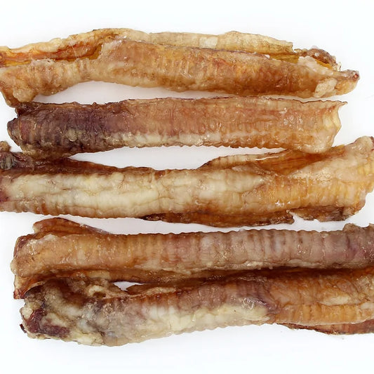 Dehydrated Lamb Trachea