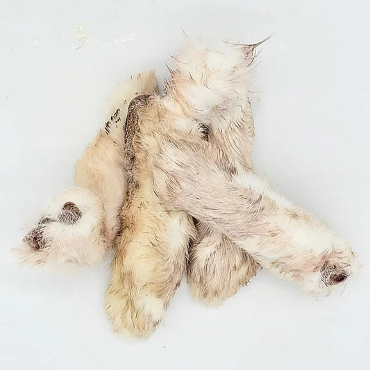 Dehydrated Rabbit Feet