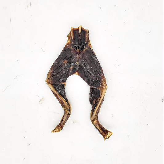 Dehydrated Frog Legs